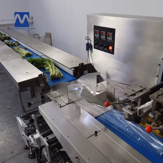 病院用漢方煮沸包装機